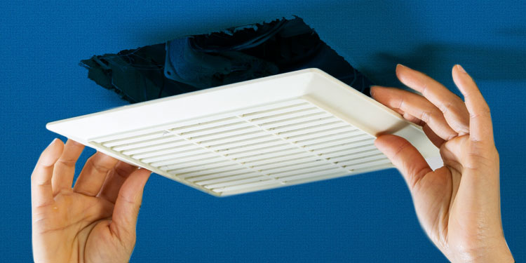 Air Duct Cleaning Services